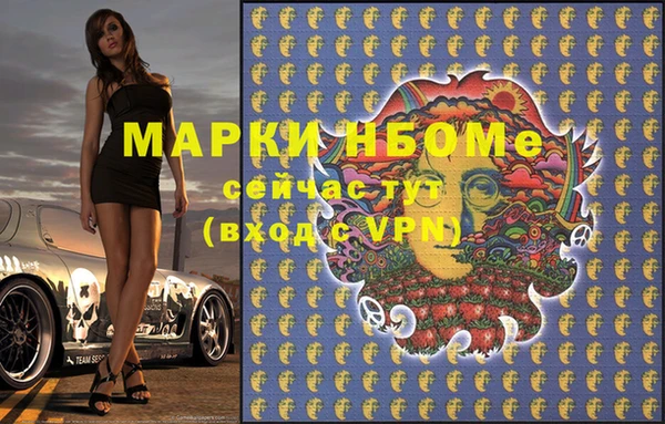 хмурый Верея