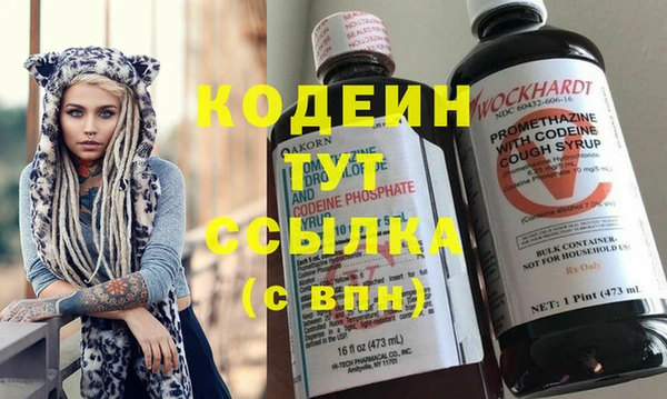 хмурый Верея