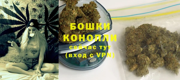 хмурый Верея