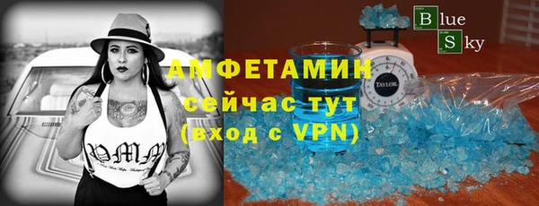 хмурый Верея