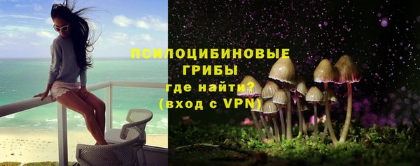 хмурый Верея