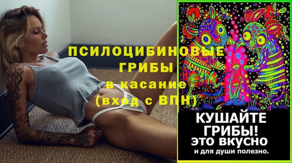 хмурый Верея