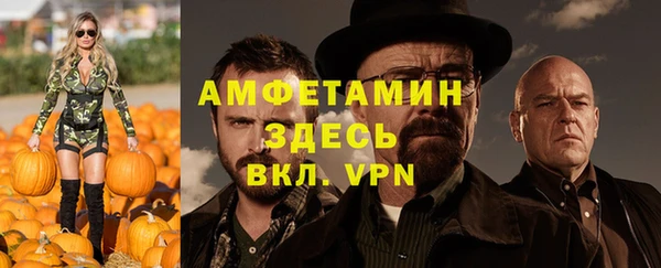 хмурый Верея