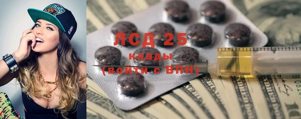 хмурый Верея