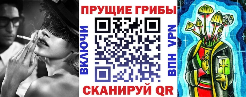 Купить  Магадан  Псилоцибиновые грибы Cubensis 